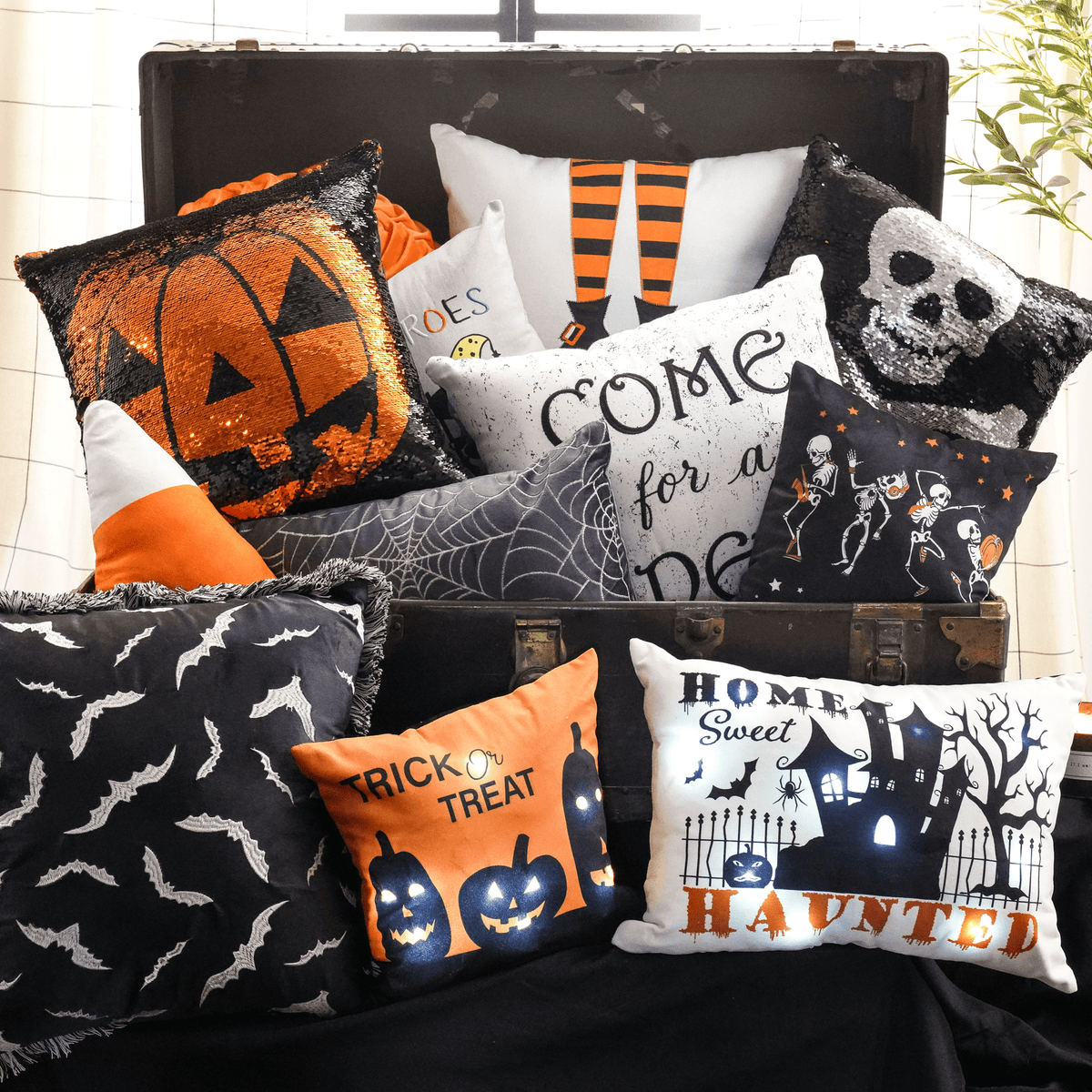 Halloween Themed Pillows