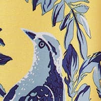 Yellow_Blue