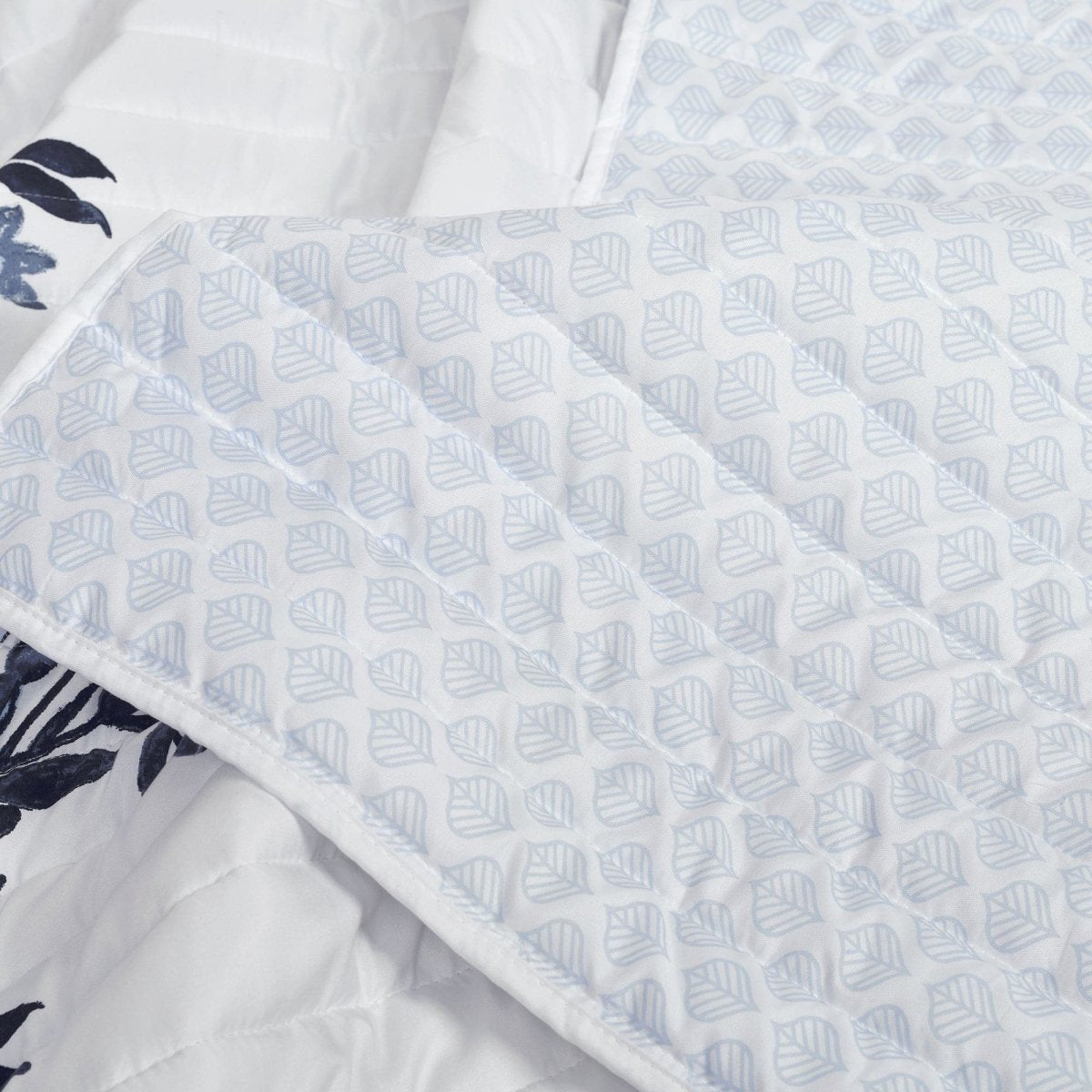 Navy_White