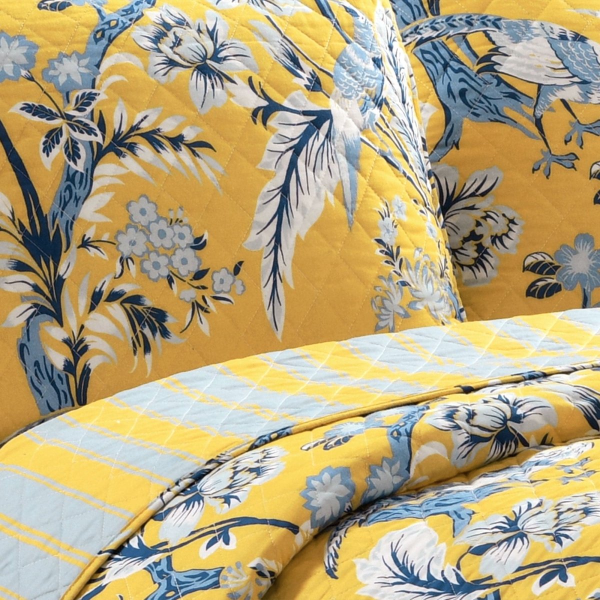 Yellow_Blue