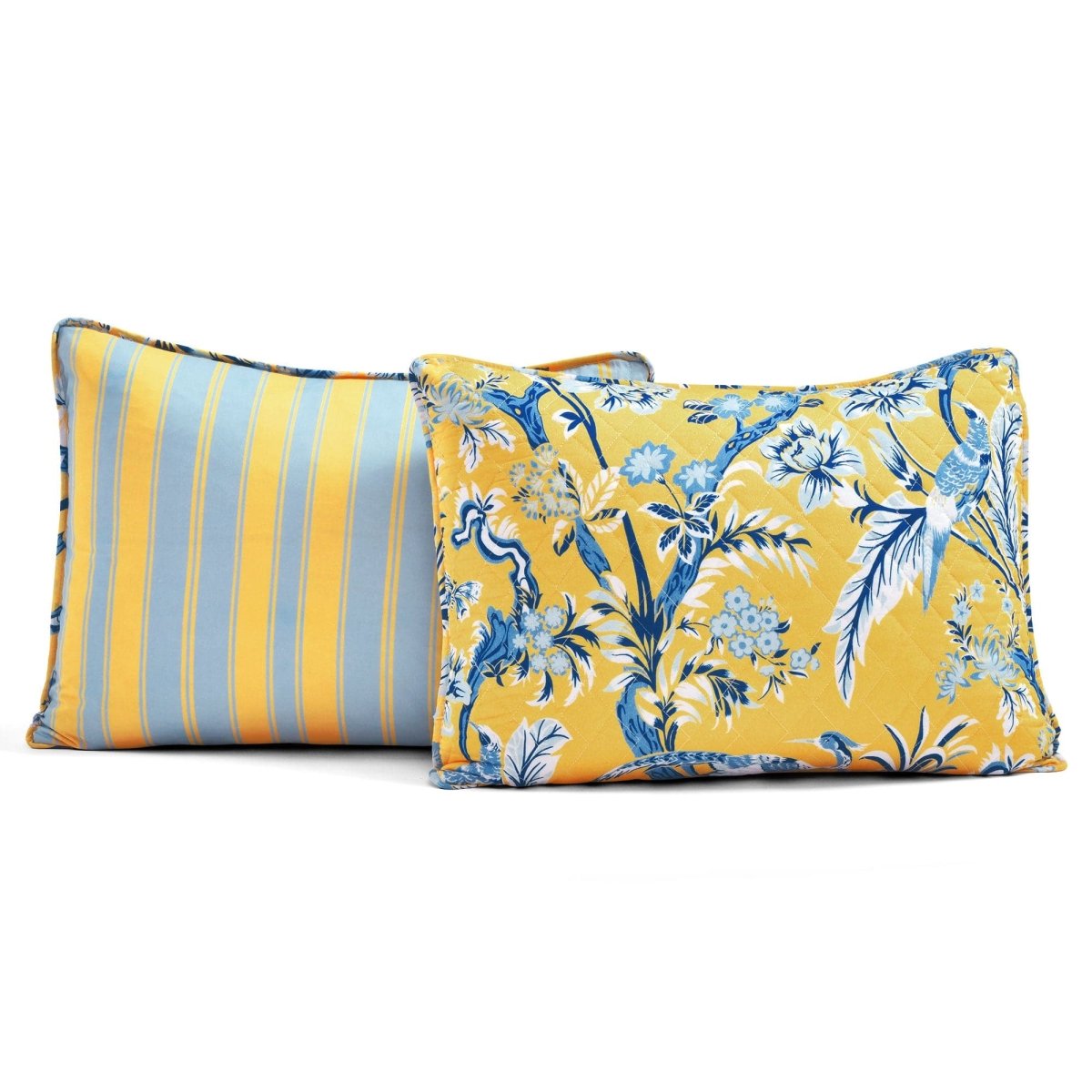 Yellow_Blue