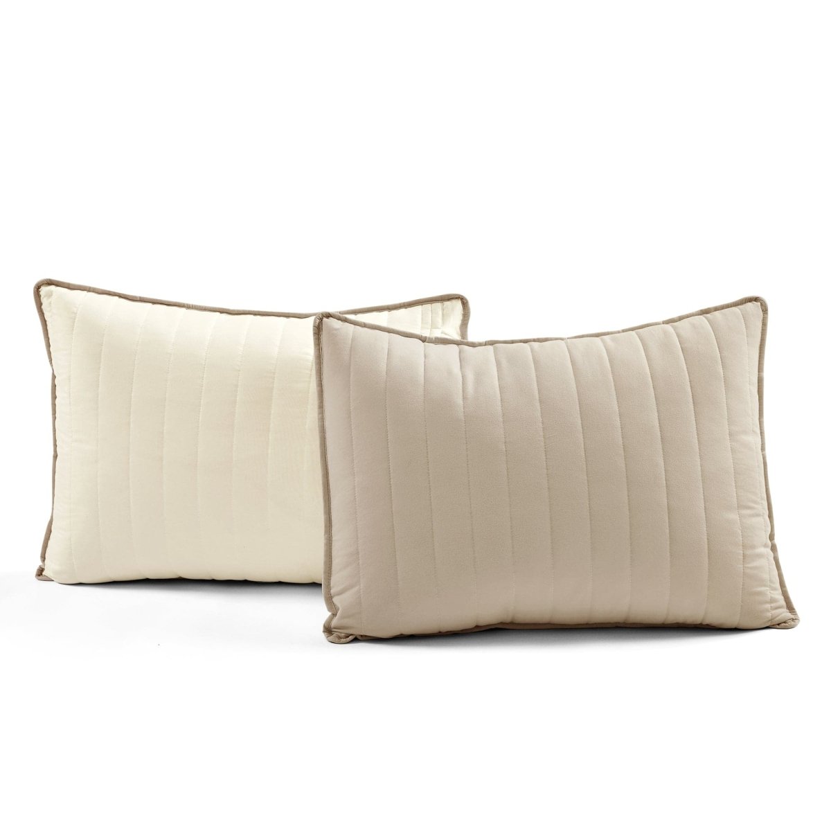 Neutral_Ivory