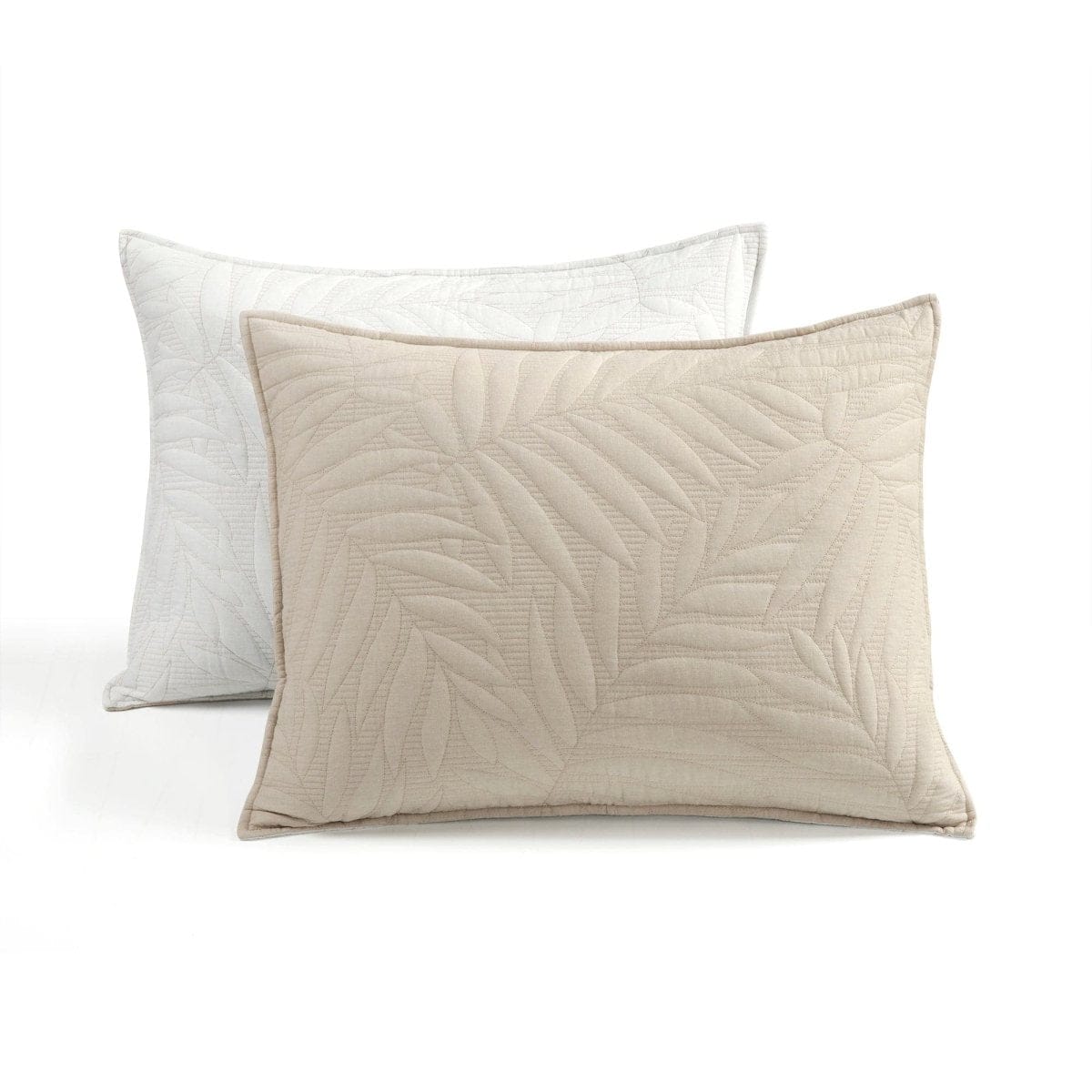 Neutral_White