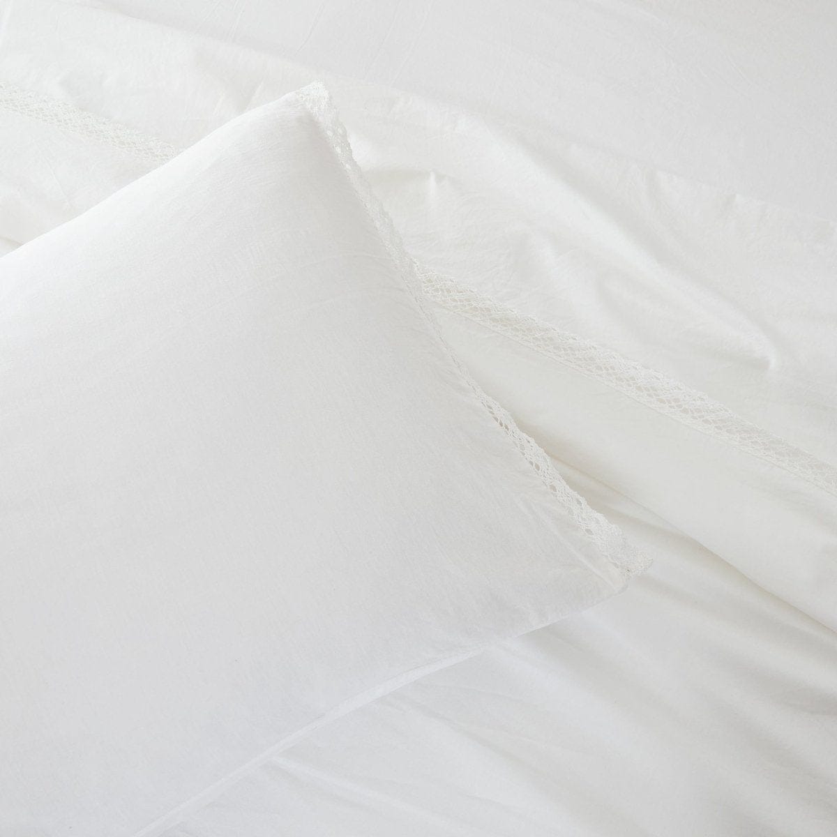 White | King