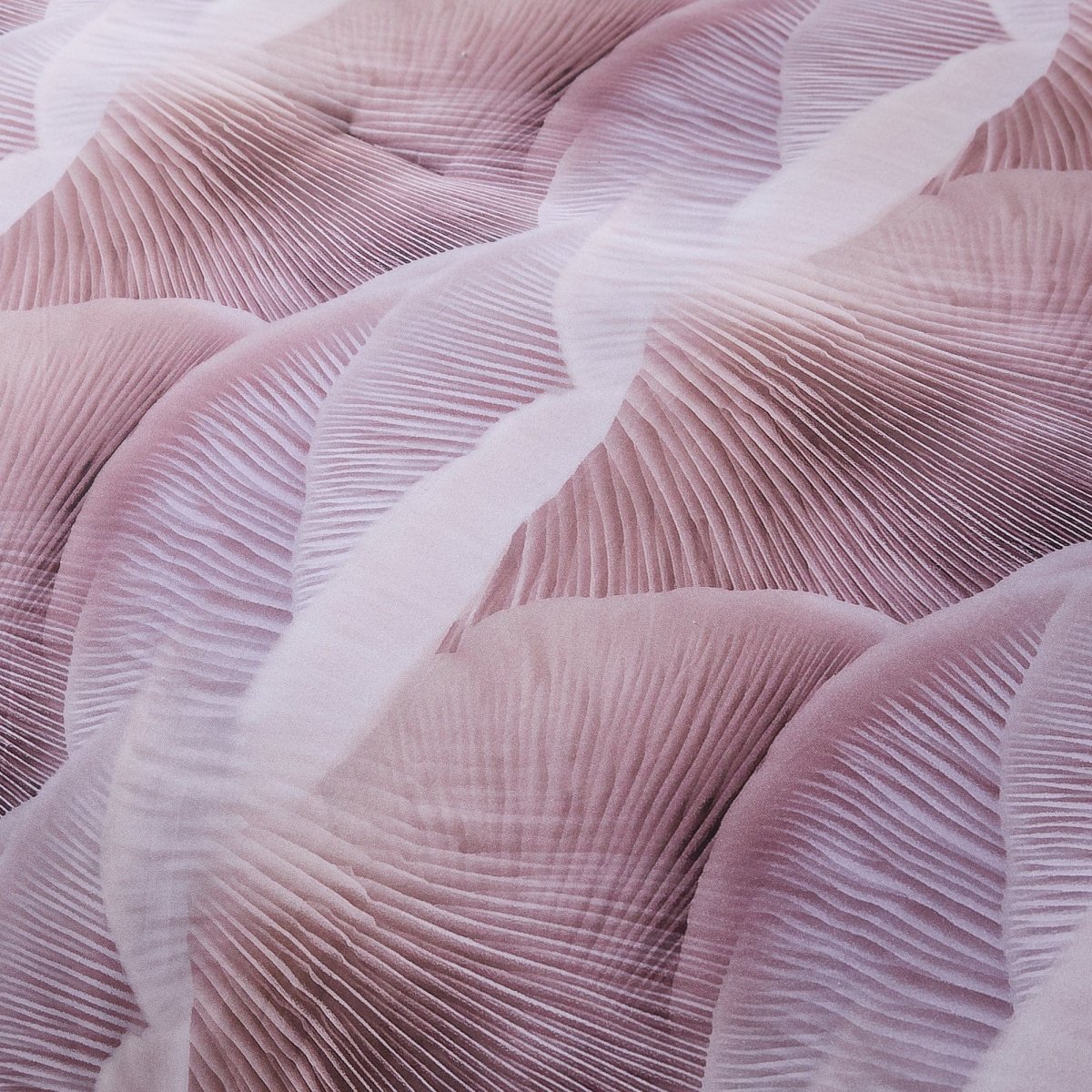 Dusty Pink | Queen