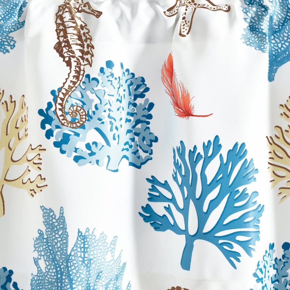 Blue_Coral