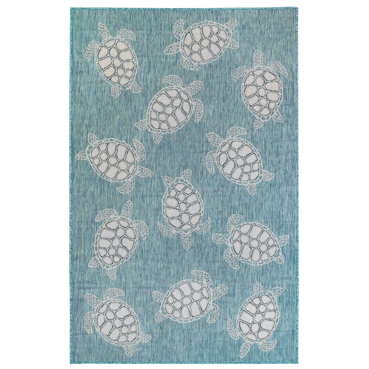 Aqua | 1'11" x 4'11"